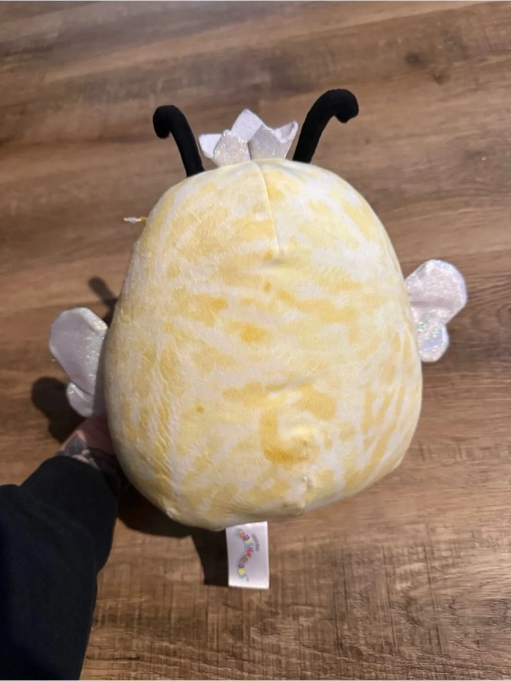 Squishmallow Bundle